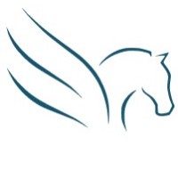 Arion logo - Similar company to Triples Gmbh