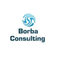 Borba Consulting
