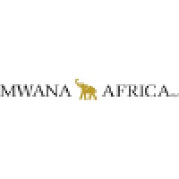 Mwana Africa Plc