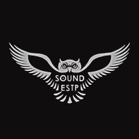 Sound ESTP logo - Similar company to Lycée Claude Bernard