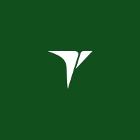 TRONSMARTLINE logo - Similar company to Bigtel Electrical Limited