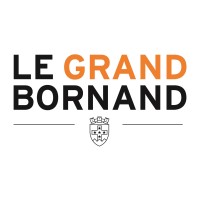 Domaine Skiable Le Grand-Bornand logo - Similar company to Satelc