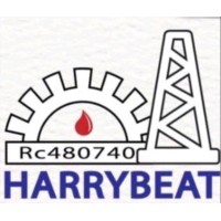 HARRYBEAT INTERNATIONAL SERVICES LTD logo - Similar company to Executive Nations