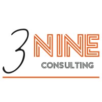 3Nine Consulting logo - Similar company to I.T.Now