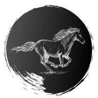 Stallion Construction Co. logo - Similar company to Stallion Construction Group Inc.