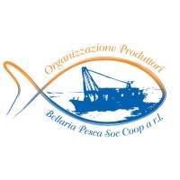 Mercato Ittico di Bellaria Igea Marina logo - Similar company to Vegezio