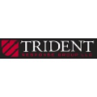 TRG -Trusted Risk Advisors for Leaders, Families, and Businesses. logo - Similar company to Kepler51