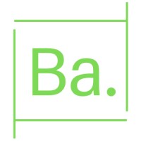 Business Angels Web Development Co. logo - Similar company to Pritbor