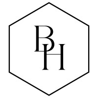 BLK Hudson logo - Similar company to Gerassist