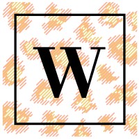 Walter Strategy logo - Similar company to Intrepid Media