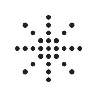 Plegium logo - Similar company to Sabre Security