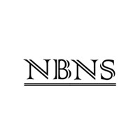 NBNS Co Ltd logo - Similar company to Nbns Management & Investment