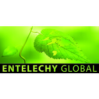 Entelechy Global logo - Similar company to Tech Intelligent Pcb Solutions