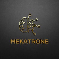 Mekatrone logo - Similar company to Un Petit Gato