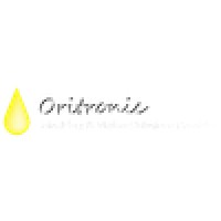 Oritronic Sdn Bhd logo - Similar company to Fausto Group
