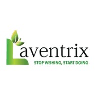 laventrix logo - Similar company to Digital Prashant Pathak