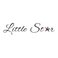 Little Star Studio logo - Similar company to Playsoft