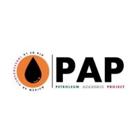 Petroleum Academic Project logo - Similar company to Gasoline | Websites En Webshops