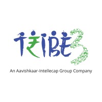 Tribe3 logo - Similar company to Financeseva