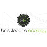 Bristlecone Ecology logo - Similar company to Vtr Lucky Technologies