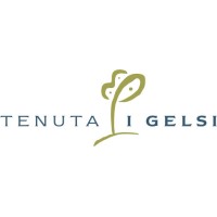Tenuta I Gelsi logo - Similar company to Tenuta Col Di Sasso