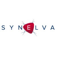 SYNELVA COLLECTIVITES logo - Similar company to Llum