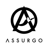 Assurgo Coach & Konsult logo - Similar company to Invess Ai