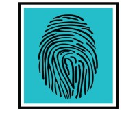 CEREBRAL logo - Similar company to Stream Bv