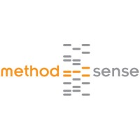 MethodSense, Inc. logo - Similar company to Xborne