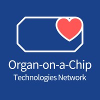 Organ-on-a-chip Technologies Network logo - Similar company to 3R-Center Tübingen