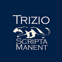 Trizio Consulting logo - Similar company to Scriptamanent