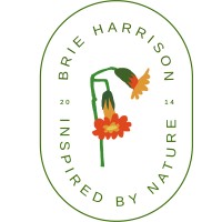 Brie Harrison Ltd logo - Similar company to Clockwork Soldier