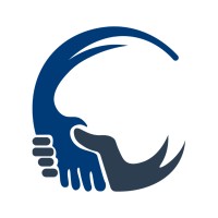 Consulteam logo - Similar company to Twigbig