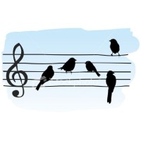 Music Everywhere logo - Similar company to Music Everywhere