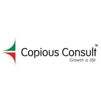 Copious Consult Pvt Ltd logo - Similar company to Crab Network Llp