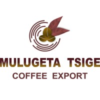 Mulugeta Tsige Coffee logo - Similar company to Taboo Coffee Co