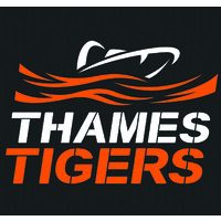 Thames Tigers logo - Similar company to Thames Rockets