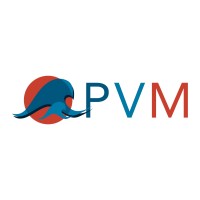 PVM Service GmbH logo - Similar company to Itz Plus