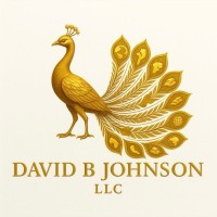 David B Johnson Llc