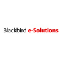 Blackbird e-Solutions LLC logo - Similar company to E:Solutions Group