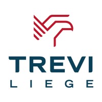 Trevi Liège logo - Similar company to Trevi Rasquain