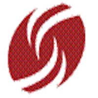 Dress for Success Rochester logo - Similar company to Carisity