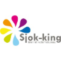 Sjok-King internet marketingbureau logo - Similar company to Sparkling, The Agency