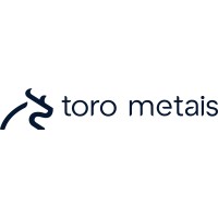Toro Metais logo - Similar company to Super Ligas Metais