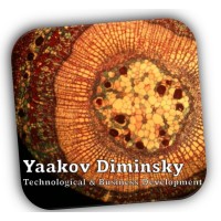 Yaakov Diminsky Technological & Business Development logo - Similar company to Nanoscout