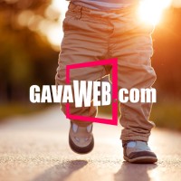 GAVAWEB.com logo - Similar company to Epicdevs