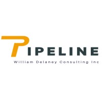 William Delaney Consulting Pipeline logo - Similar company to Placements Usa Llc