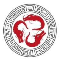 Dragon Shipping Perú logo - Similar company to Mdk Global Shipping