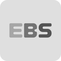 EBS Global logo - Similar company to Purpleso Technologies