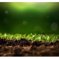 CropCatalyst Solutions logo - Similar company to Peaktech Solution
